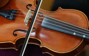 Fiddle Rentals